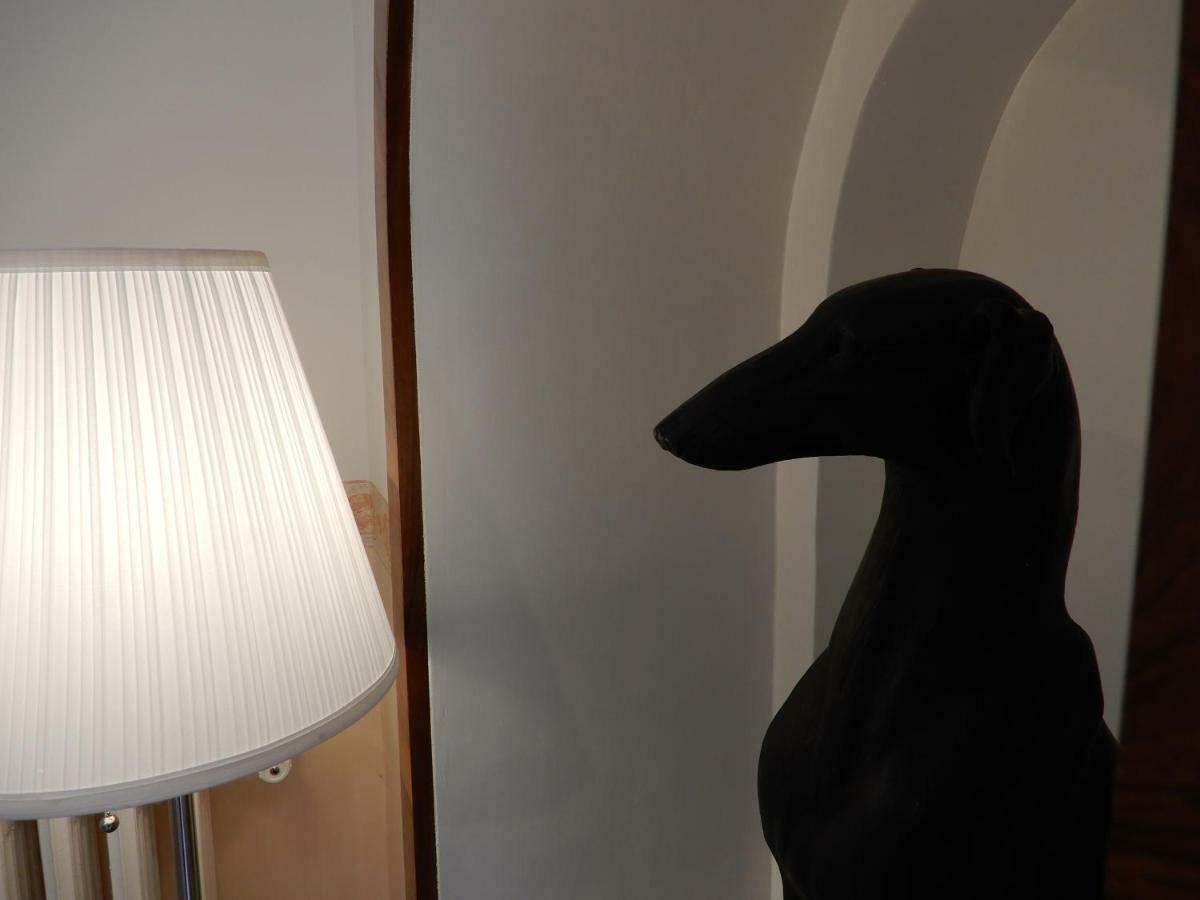 Luciano And Son Bed & Breakfast Campobasso Dış mekan fotoğraf