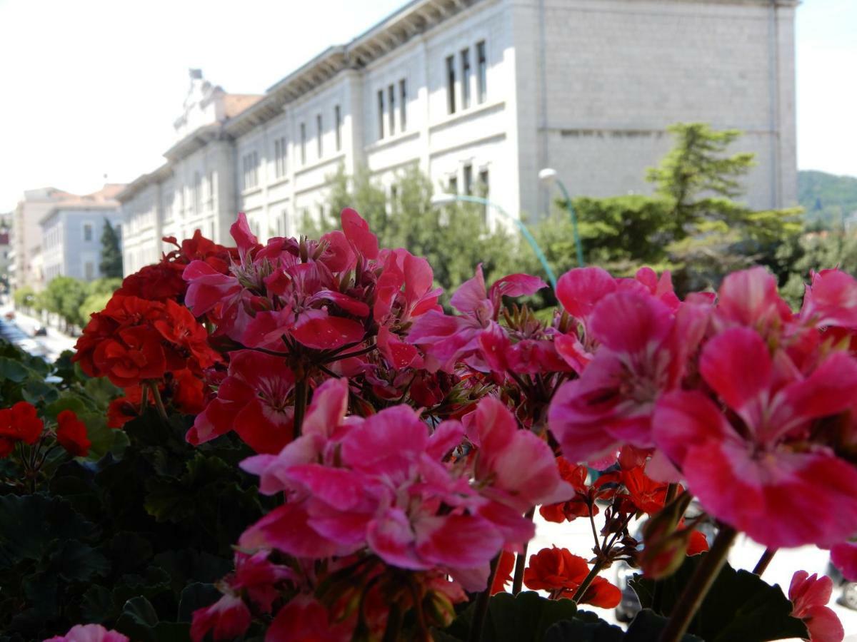 Luciano And Son Bed & Breakfast Campobasso Dış mekan fotoğraf